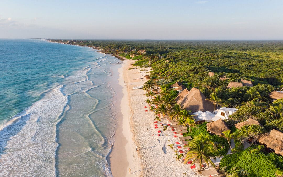 Tripps Now Reveals Sustainable Tourism in Tulum