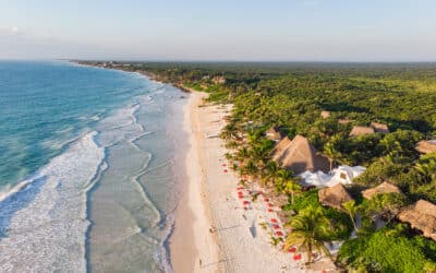 Tripps Now Reveals Sustainable Tourism in Tulum