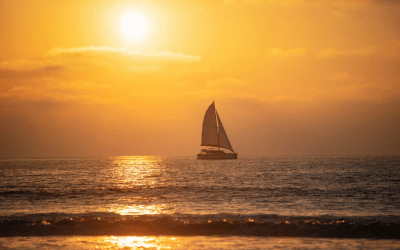 Tripps Now Reveals Popular Benefits for Better Vacation Planning