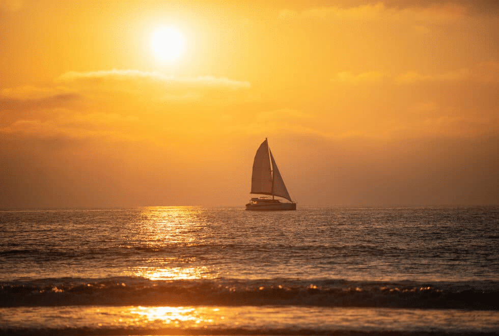 Tripps Now Reveals Popular Benefits for Better Vacation Planning
